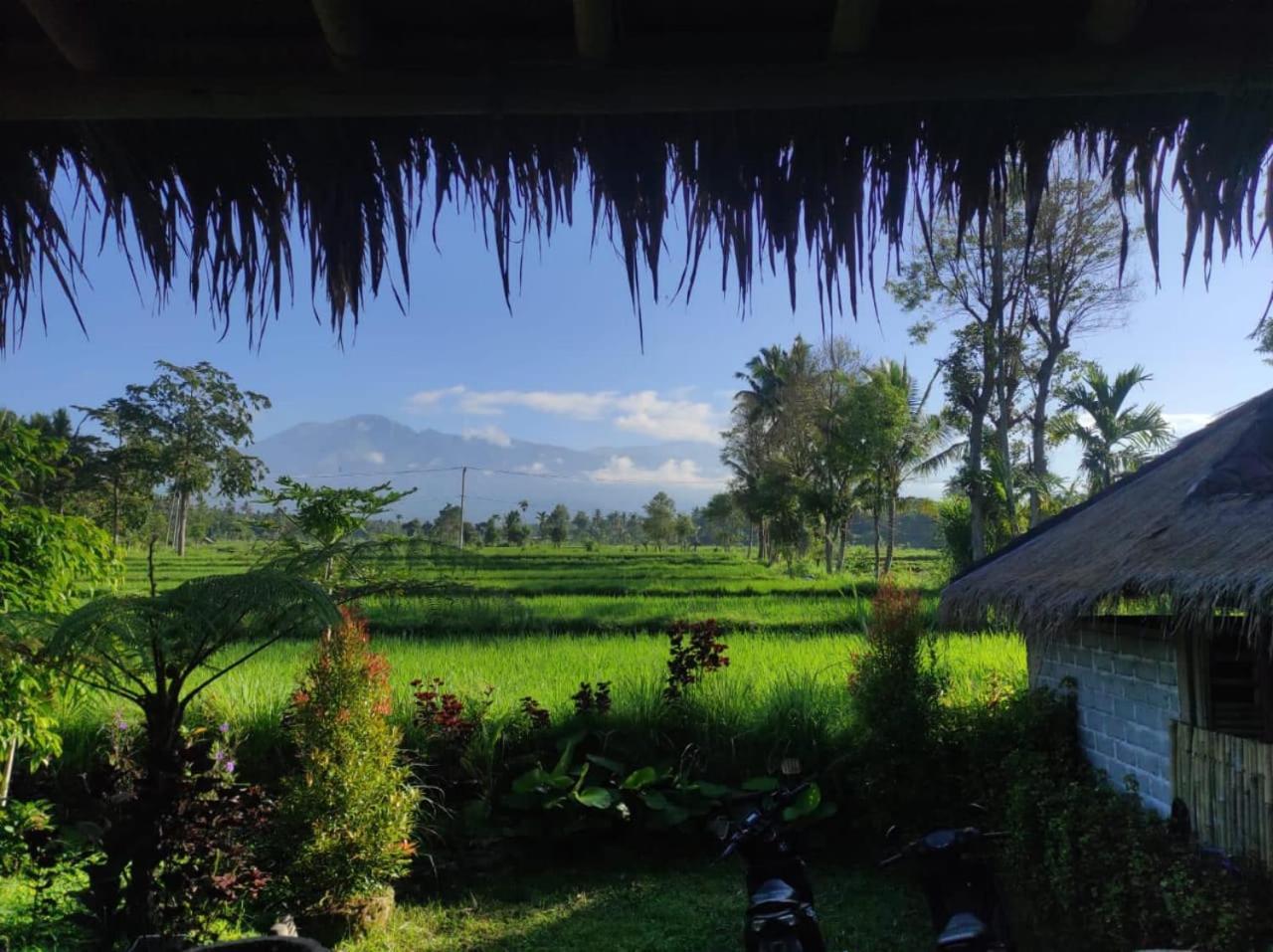 New Rinjani Homestay Tetebatu Exterior photo
