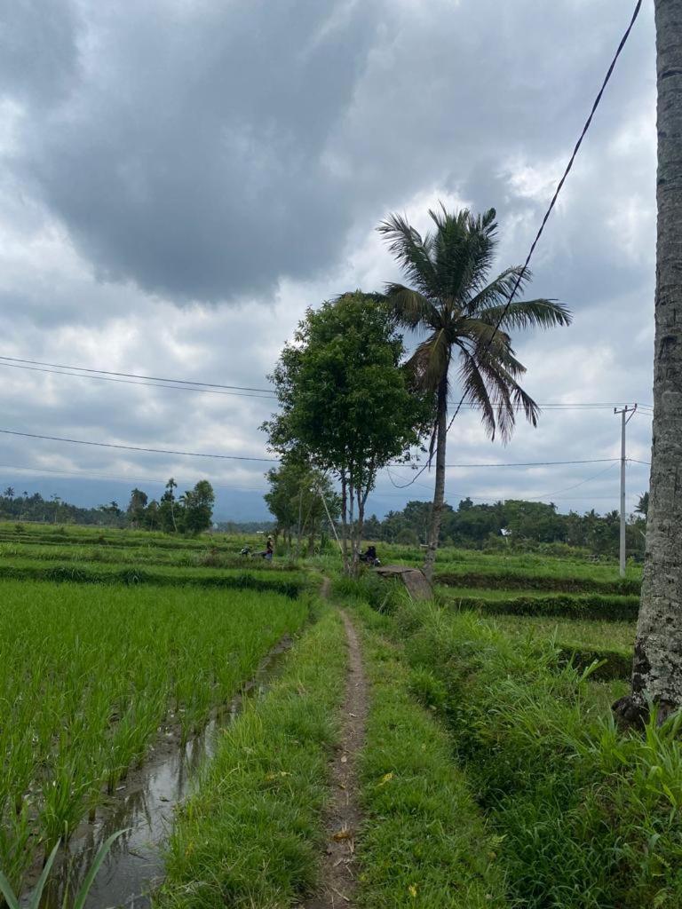 New Rinjani Homestay Tetebatu Room photo
